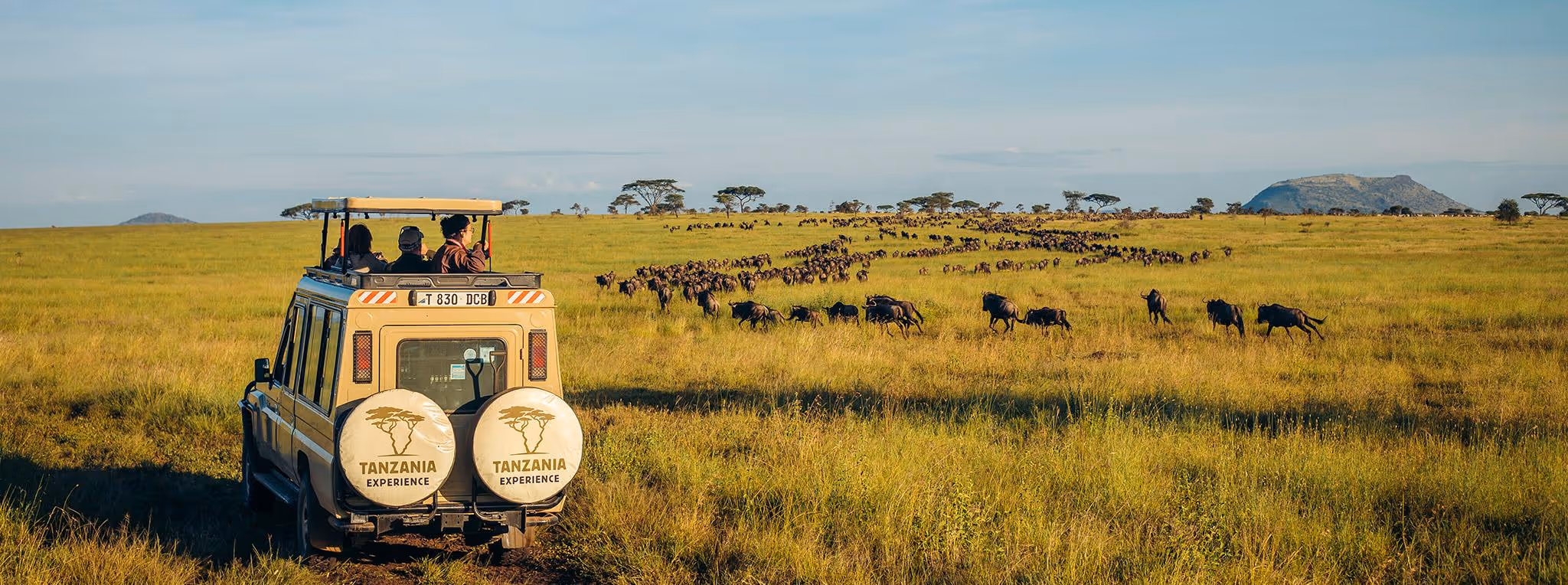 Serengeti Explorer Safari cover image
