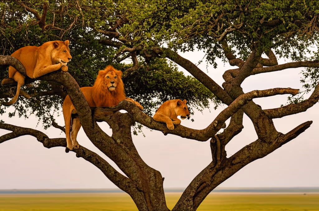 Lake Manyara National Park